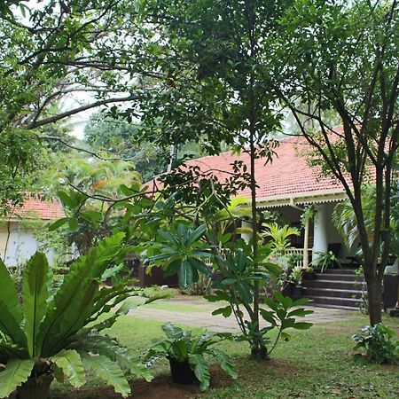 Ferienwohnung No.53 Katunayaka Exterior foto